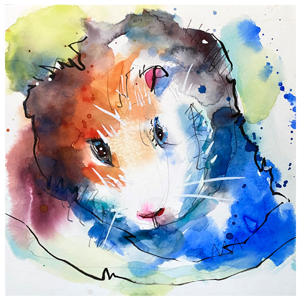 watercolor and ink painting of guinea pig by emily weil