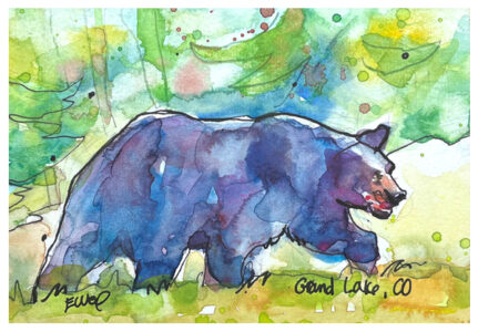 watercolor of black bear by emily weil