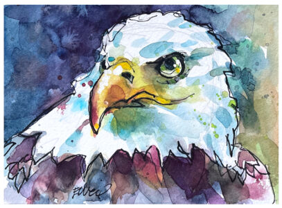 watercolor of bald eage by emily weil