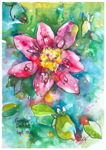 watercolor of dahlia by emily weil